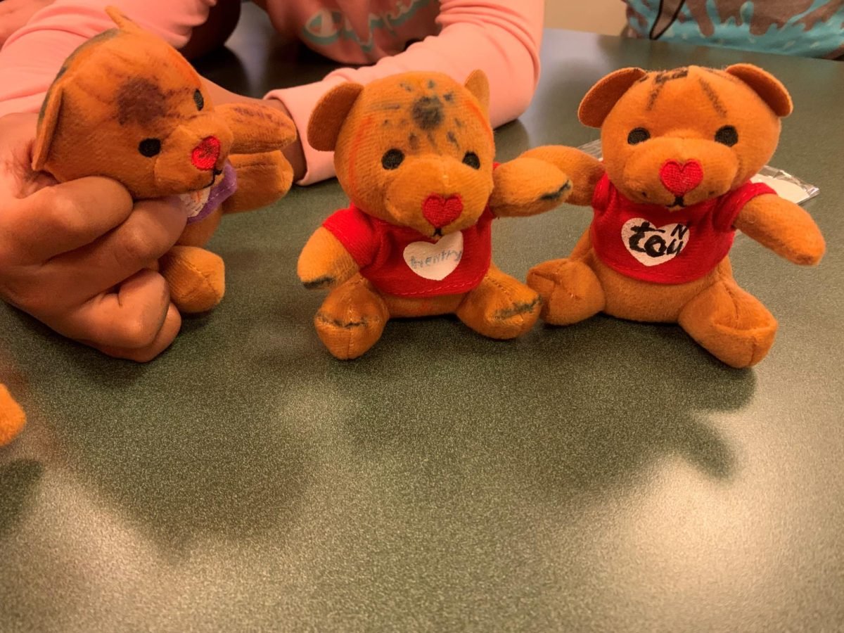 Rainbows Support Group Bears